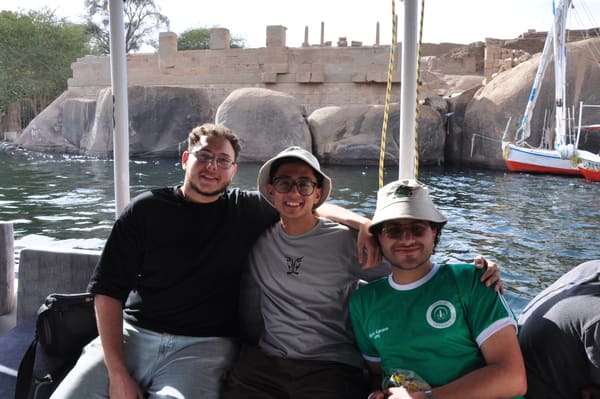 Aswan NGA, photo 7