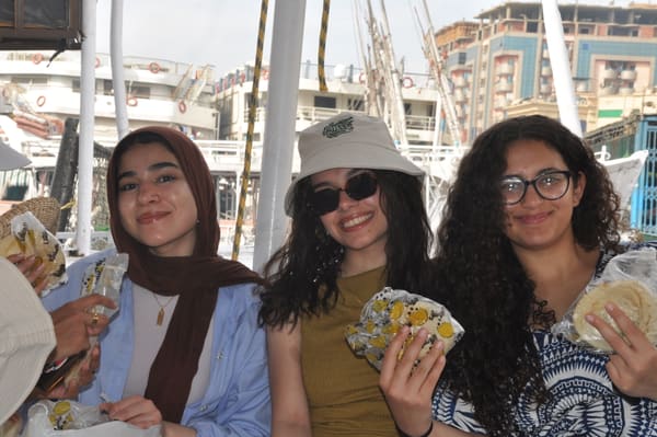 Aswan NGA, photo 8