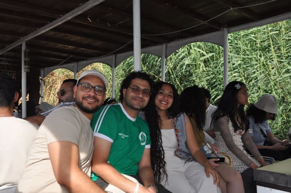 Aswan NGA, photo 10