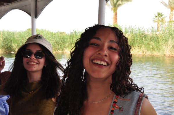 Aswan NGA, photo 19