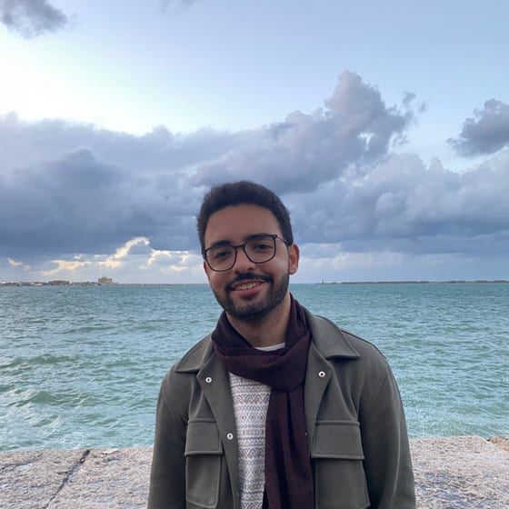 Amr Kamel